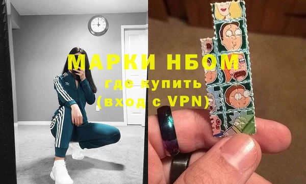 шишки Приозерск