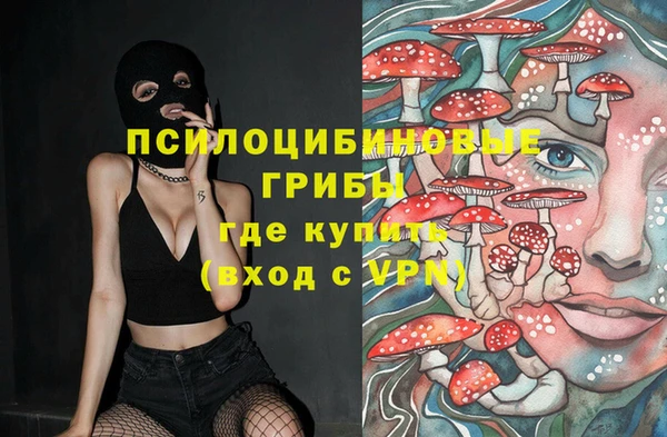 синтетический гашиш Алексин