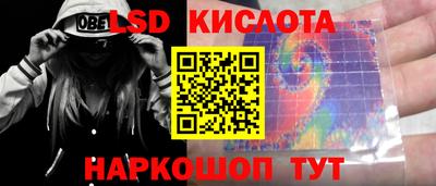 стаф Кингисепп