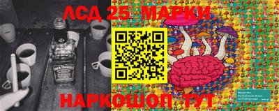 jwh Кимры