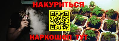 стаф Кингисепп