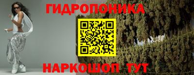 гашик Кинель