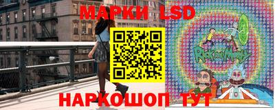гашик Кинель