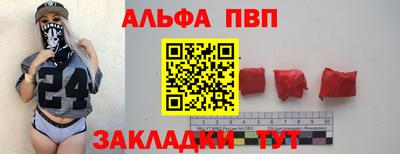 стаф Кингисепп