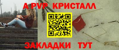 стаф Кингисепп