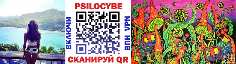 где продают наркотики  Крымск  Псилоцибиновые грибы Psilocybine cubensis 