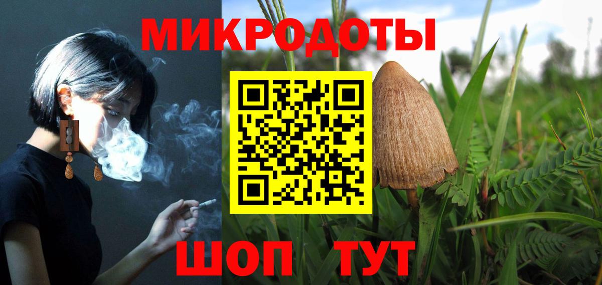 Галлюциногенные грибы Psilocybine cubensis  Галлюциногенные грибы мицелий  Вход с VPN  Крымск 